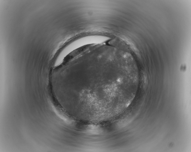 X0000093120496200710241306