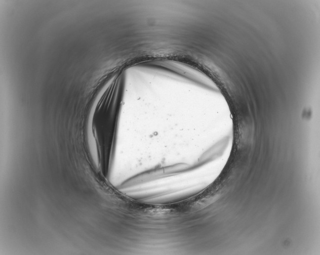 X0000093120497200710241306