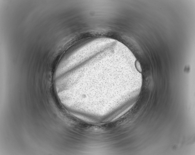 X0000093120498200710241306