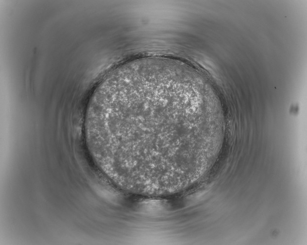 X0000093120499200710241305