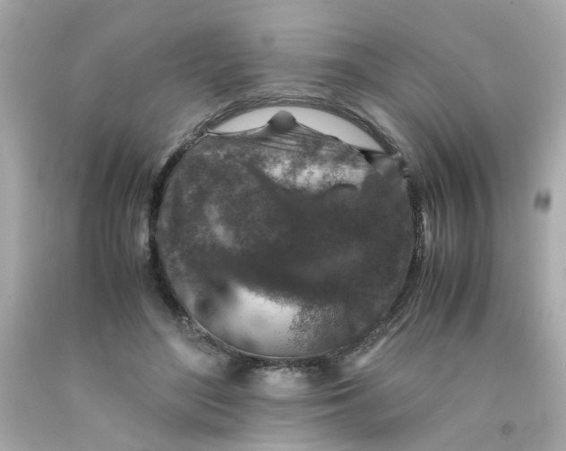 X0000093120500200710241305