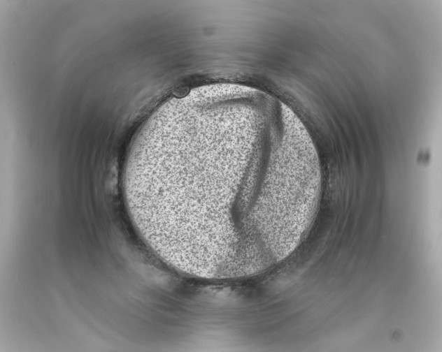 X0000093120502200710241305