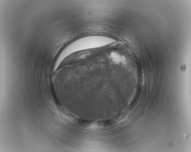 X0000093120504200710241305