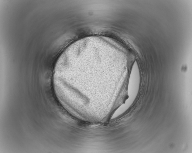 X0000093120505200710241305