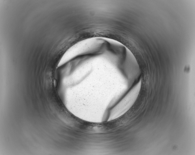 X0000093120506200710241305