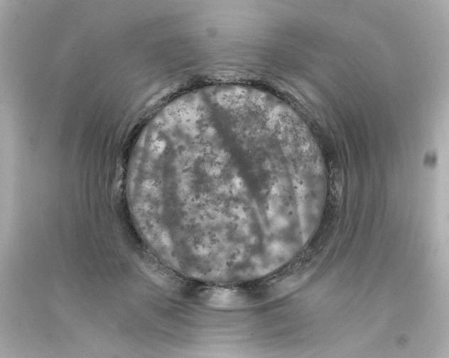 X0000093120507200710241305
