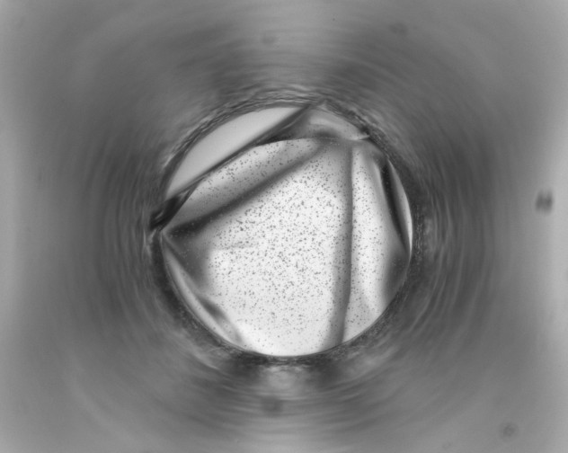 X0000093120508200710241305