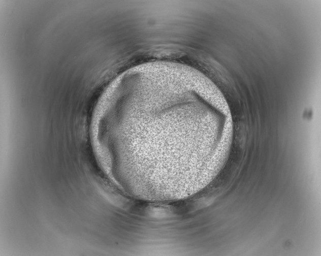 X0000093120510200710241305