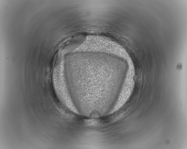 X0000093120511200710241305