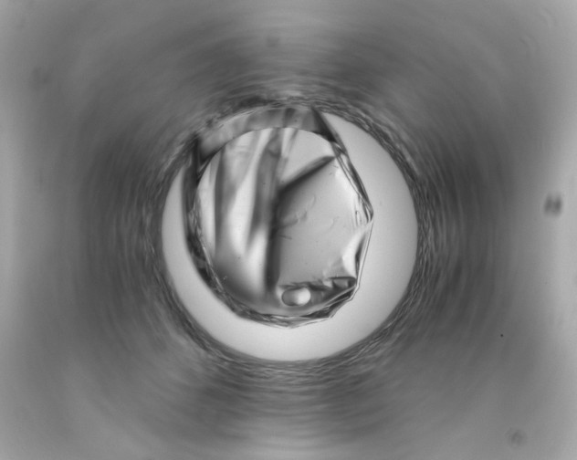X0000093120512200710241305