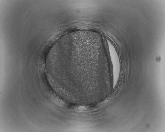 X0000093120513200710241305