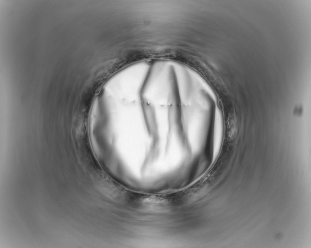 X0000093120515200710241305