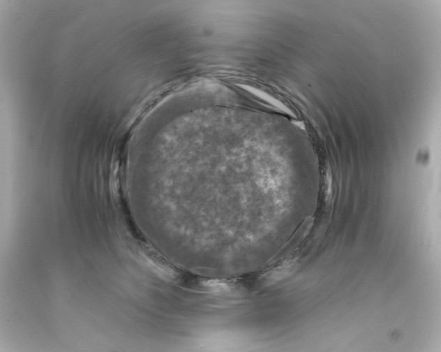 X0000093120516200710241305