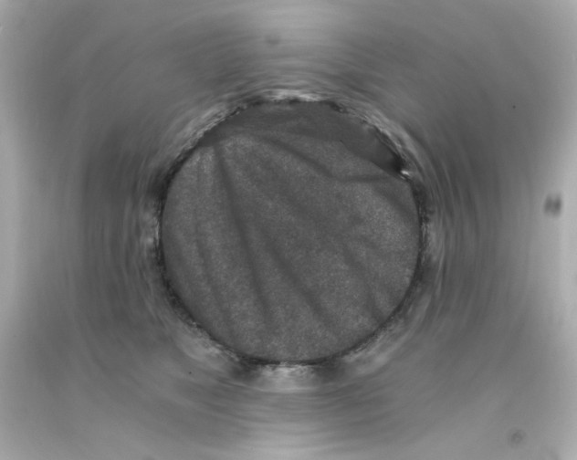 X0000093120517200710241305