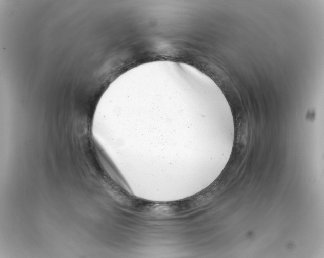 X0000093120518200710241305