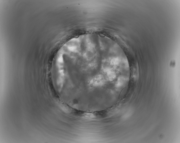 X0000093120519200710241305