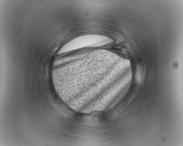 X0000093120520200710241305