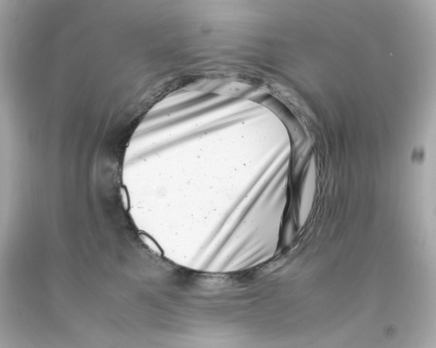 X0000093120521200710241305