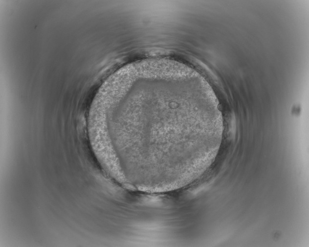 X0000093120523200710241305