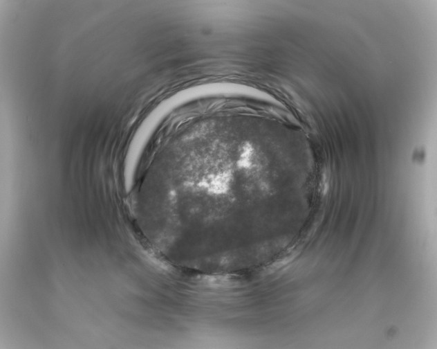 X0000093120524200710241305