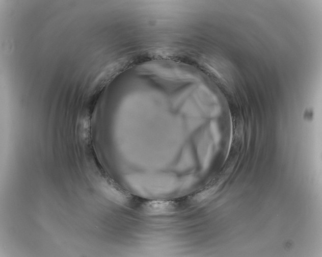 X0000093120526200710241305