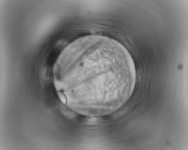 X0000093120527200710241305