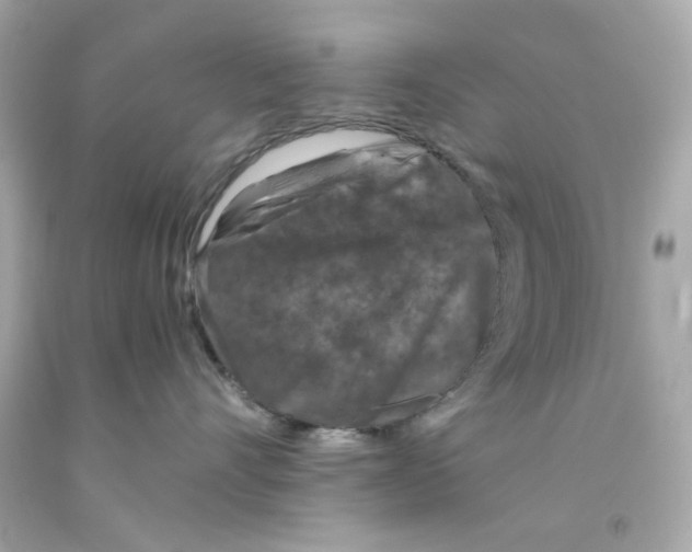 X0000093120528200710241305