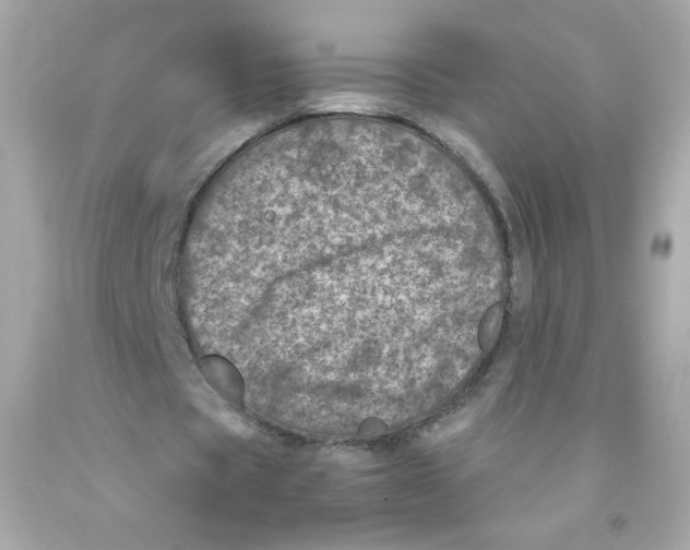 X0000093120529200710241304