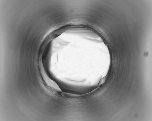 X0000093120530200710241304