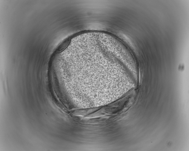 X0000093120531200710241304