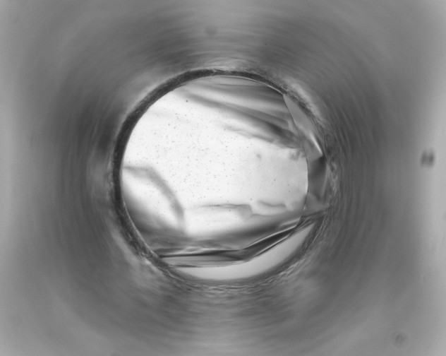 X0000093120532200710241304