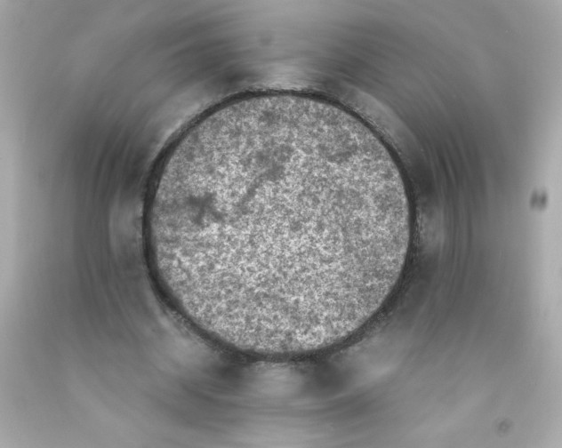 X0000093120534200710241304