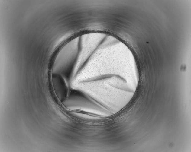 X0000093120535200710241304