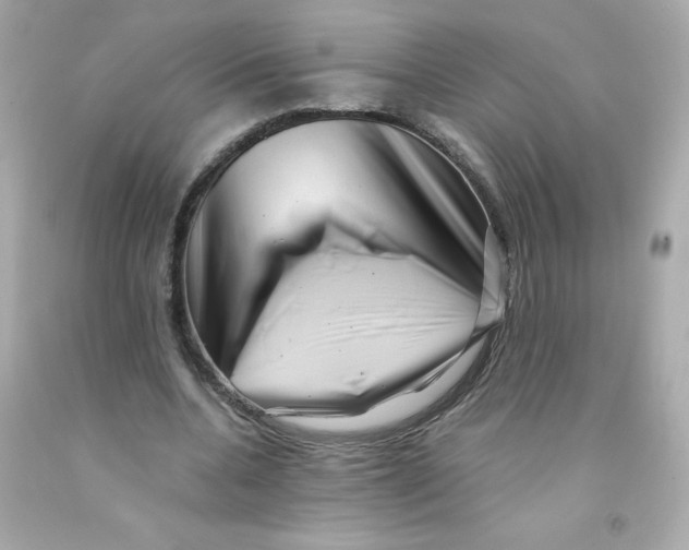 X0000093120536200710241304