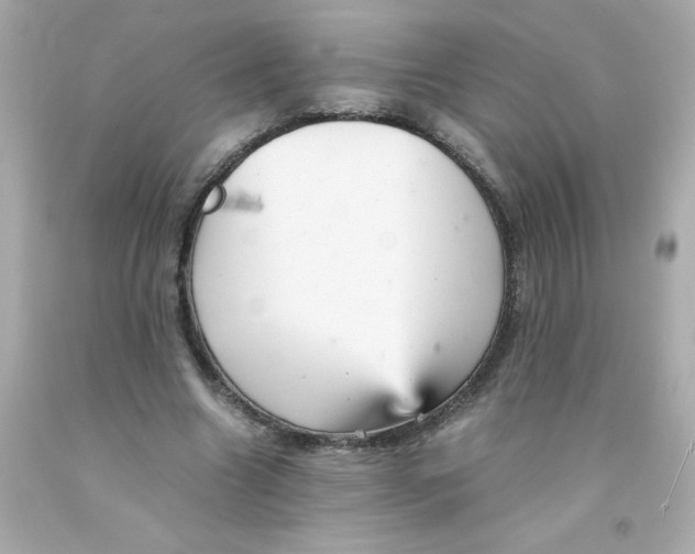 X0000093120538200710241304