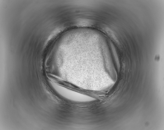 X0000093120539200710241304