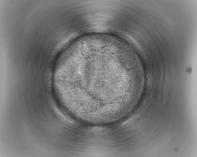 X0000093120542200710241305