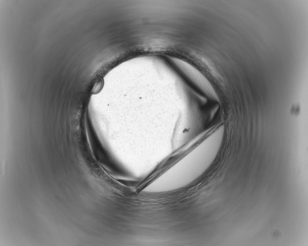 X0000093120543200710241305