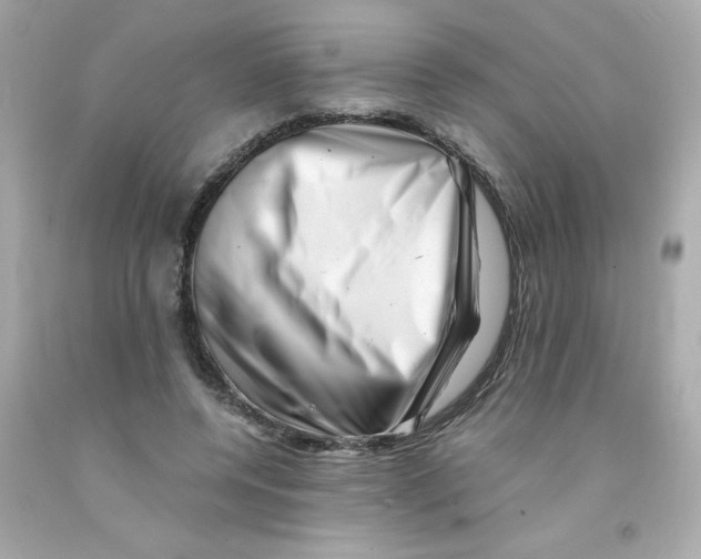 X0000093120544200710241305