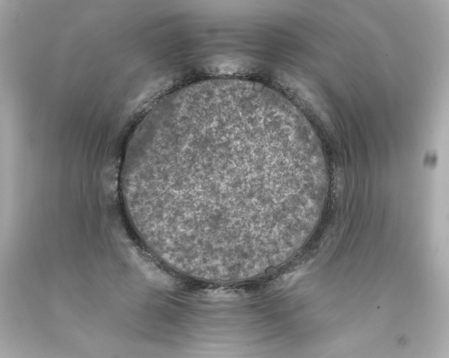 X0000093120545200710241305