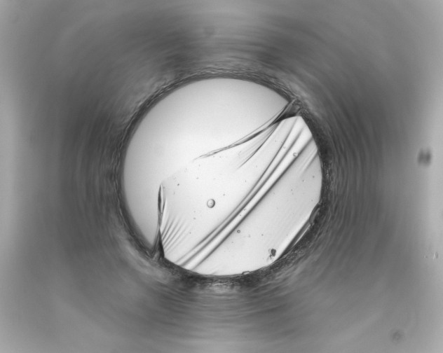 X0000093120546200710241305