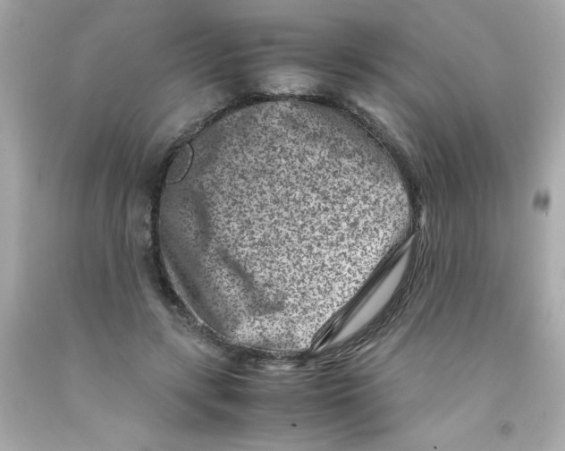 X0000093120547200710241305