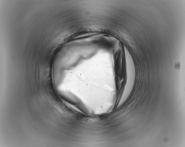 X0000093120548200710241305