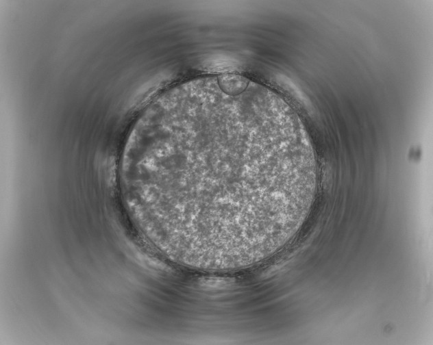 X0000093120549200710241305