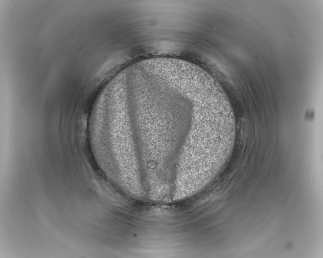 X0000093120550200710241305
