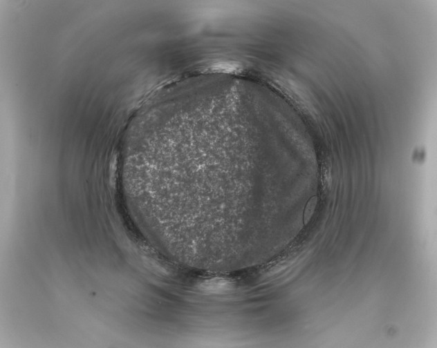 X0000093120551200710241305