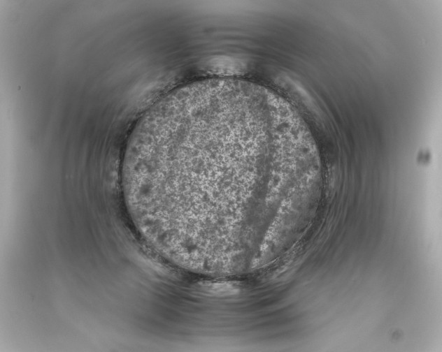 X0000093120553200710241305