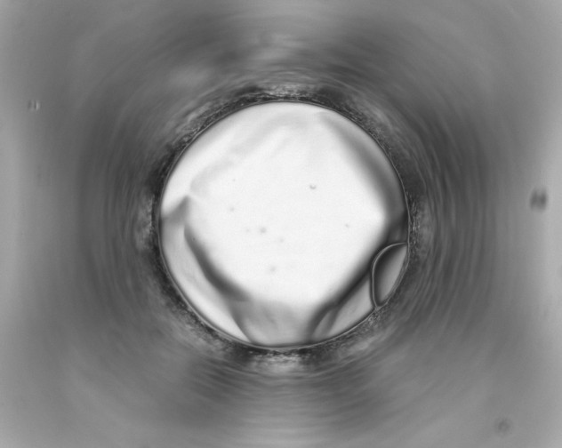 X0000093120554200710241305