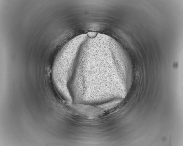 X0000093120555200710241305