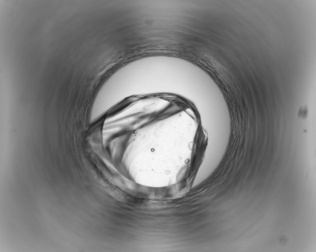 X0000093120556200710241305